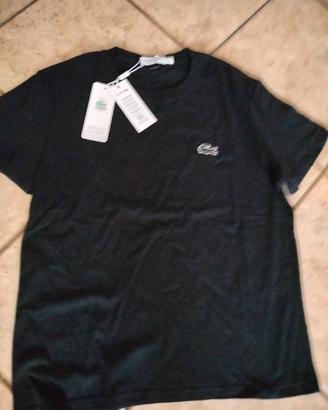 polo Lacoste 