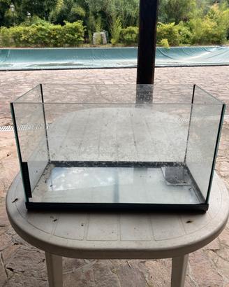 Acquario