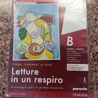Letture in un respiro B,ISBN 9788839527455