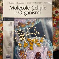 Molecole, Cellule e Organismi