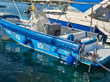 EXPRESSION 25, Motore MERCRUISER