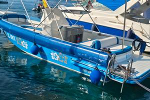 EXPRESSION 25, Motore MERCRUISER