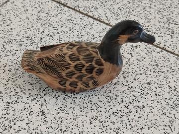 PAPERA ANATRA OCA in corno India