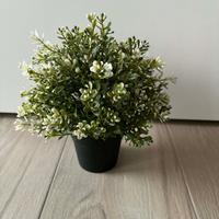 6 x Pianta artificiale con vaso e portavaso a 5€