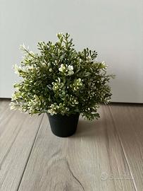 6 x Pianta artificiale con vaso e portavaso a 5€