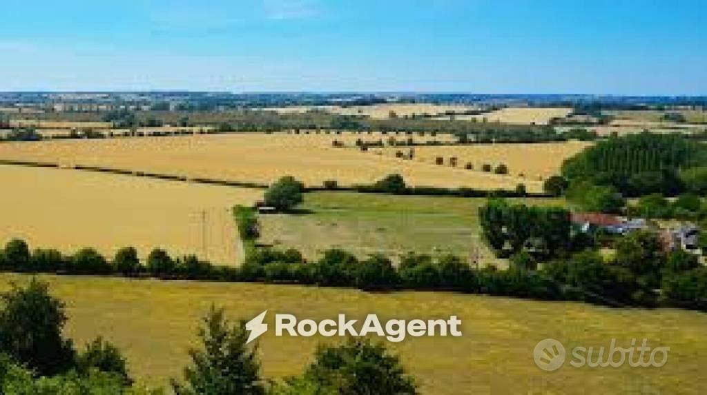 Terreno di 31284 m² a Codevigo - Vista 5