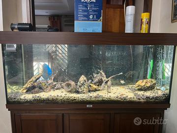 Acquario