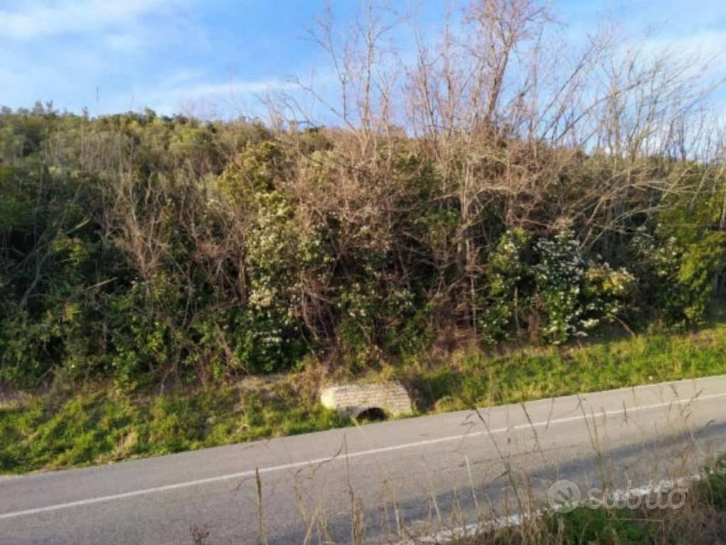 Immobile in asta di 16610 m² a Fermo - Vista 5