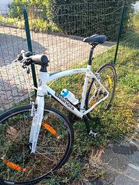 Bianchi camaleonte