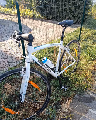 Bianchi camaleonte