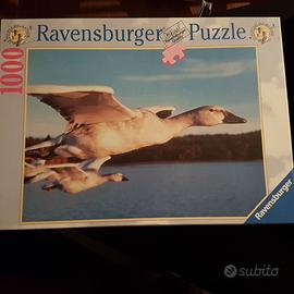 Puzzle 1000 pezzi - Ravensburger
