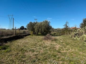 Terreno agricolo mq 3.000 con 2 box Bracciano 2