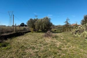 Terreno agricolo mq 3.000 con 2 box Bracciano 2