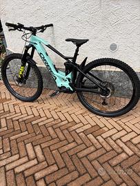 Orbea wild