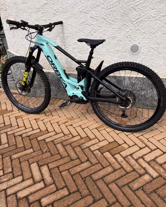 Orbea wild