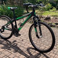Bici, ma solo per intenditori!