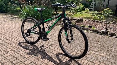 Bici, ma solo per intenditori!