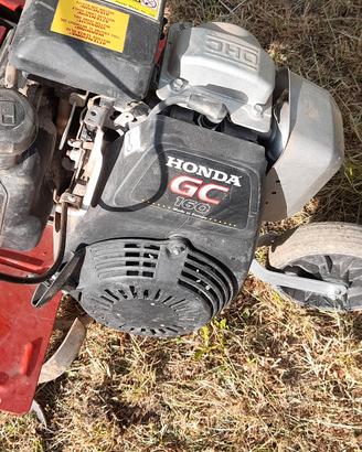 motozappa benassi 