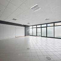 NEGOZIO A VICOPISANO