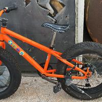 Bici ruote grosse