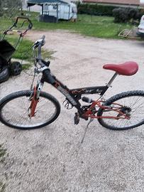 mtb trubbiani2.6harsh 046