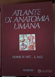 atlante di anatomia umana NETTER