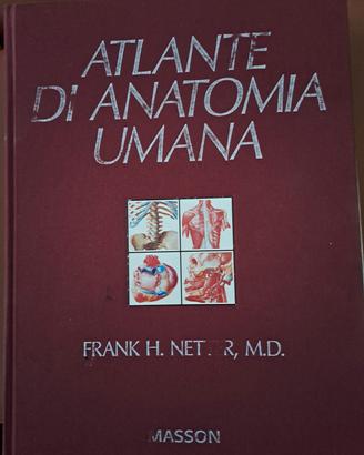 atlante di anatomia umana NETTER