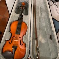 Viola rialto