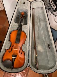 Viola rialto