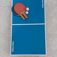 mini tavolo da ping pong 