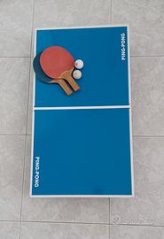 mini tavolo da ping pong 