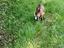 Immagine 4