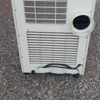 Condizionatore ( pinguino)