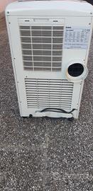 Condizionatore ( pinguino)