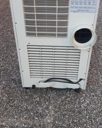 Condizionatore ( pinguino)