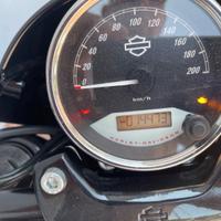 Harley-Davidson Street 750 - 2019