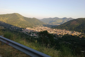 Uliveto di 100 pianti già produttive