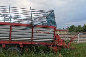 Autocaricante Mengele