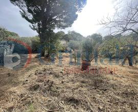Terreno Agricolo Rometta [0681-14VCG]