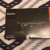 Videocamera SONY FDR-AX100E