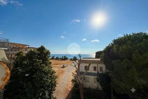 4 LOCALI A FALCONARA ALBANESE