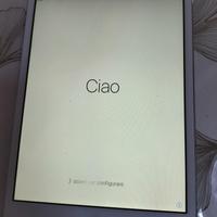 iPad Mini completo di custodia 