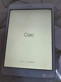 iPad Mini completo di custodia 