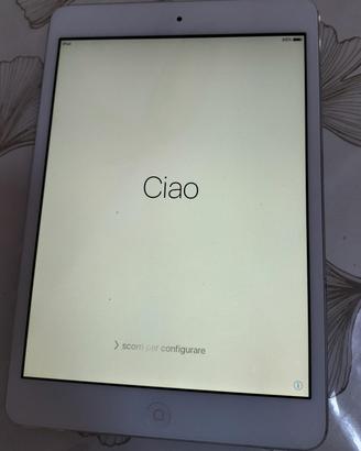 iPad Mini completo di custodia 