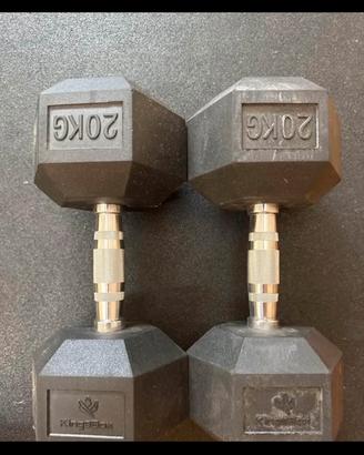 Panca inclinata + Manubri