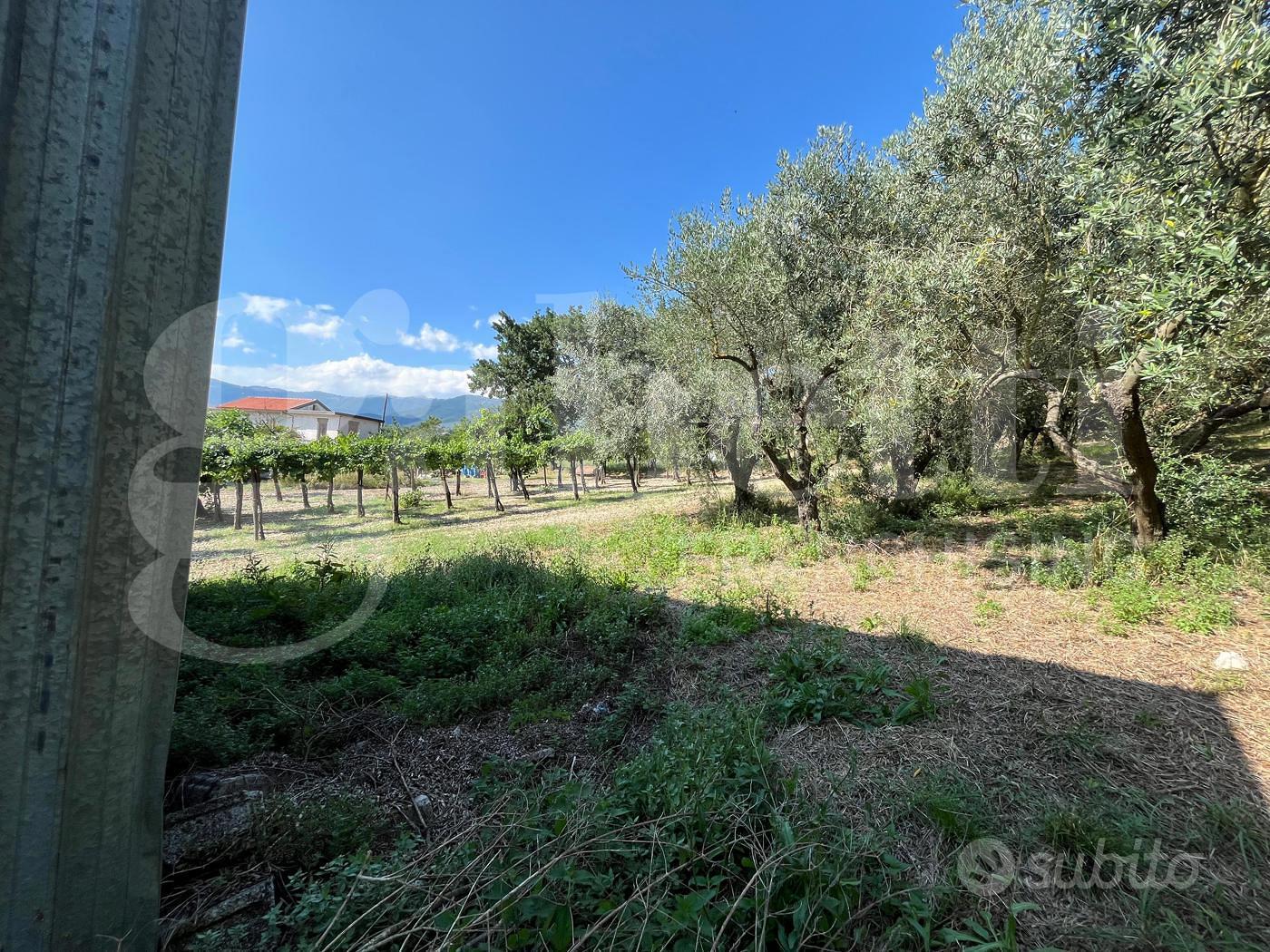 Rustico/Casale/Corte Gioia Sannitica - Vista 5