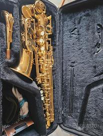 Sassofoni, strumenti musicali 