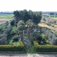 Terreno 6.300 mq con fabbricato e luce - 45.000 -