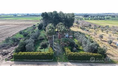 Terreno 6.300 mq con fabbricato e luce - 45.000 -