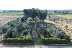 Terreno 6.300 mq con fabbricato e luce - 45.000 -